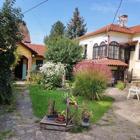 Garickina Kuca Apartman Pirot Kültér fotó