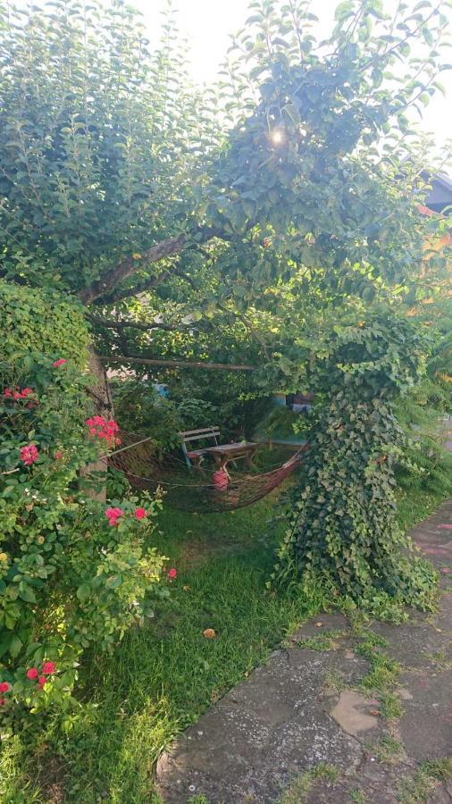 Garickina Kuca Apartman Pirot Kültér fotó