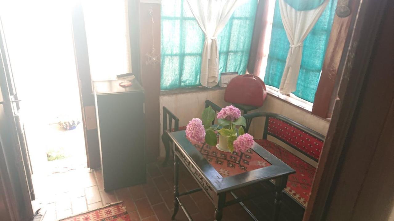 Garickina Kuca Apartman Pirot Kültér fotó