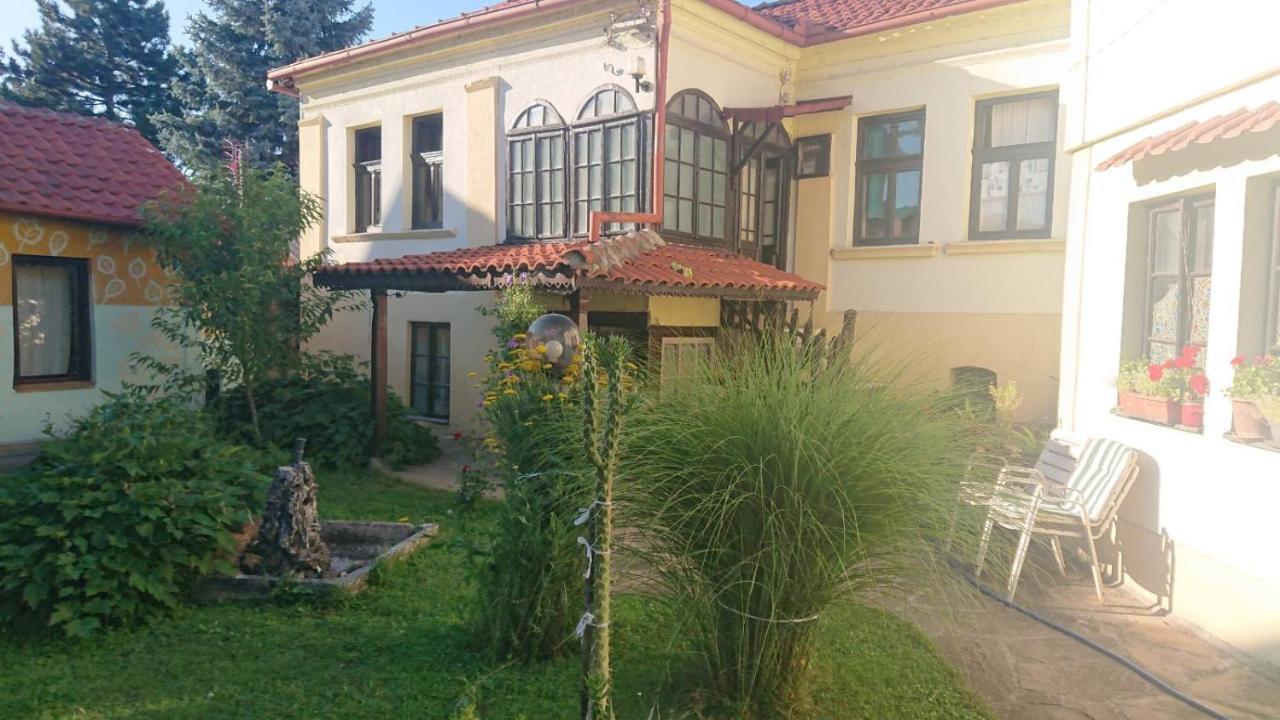 Garickina Kuca Apartman Pirot Kültér fotó
