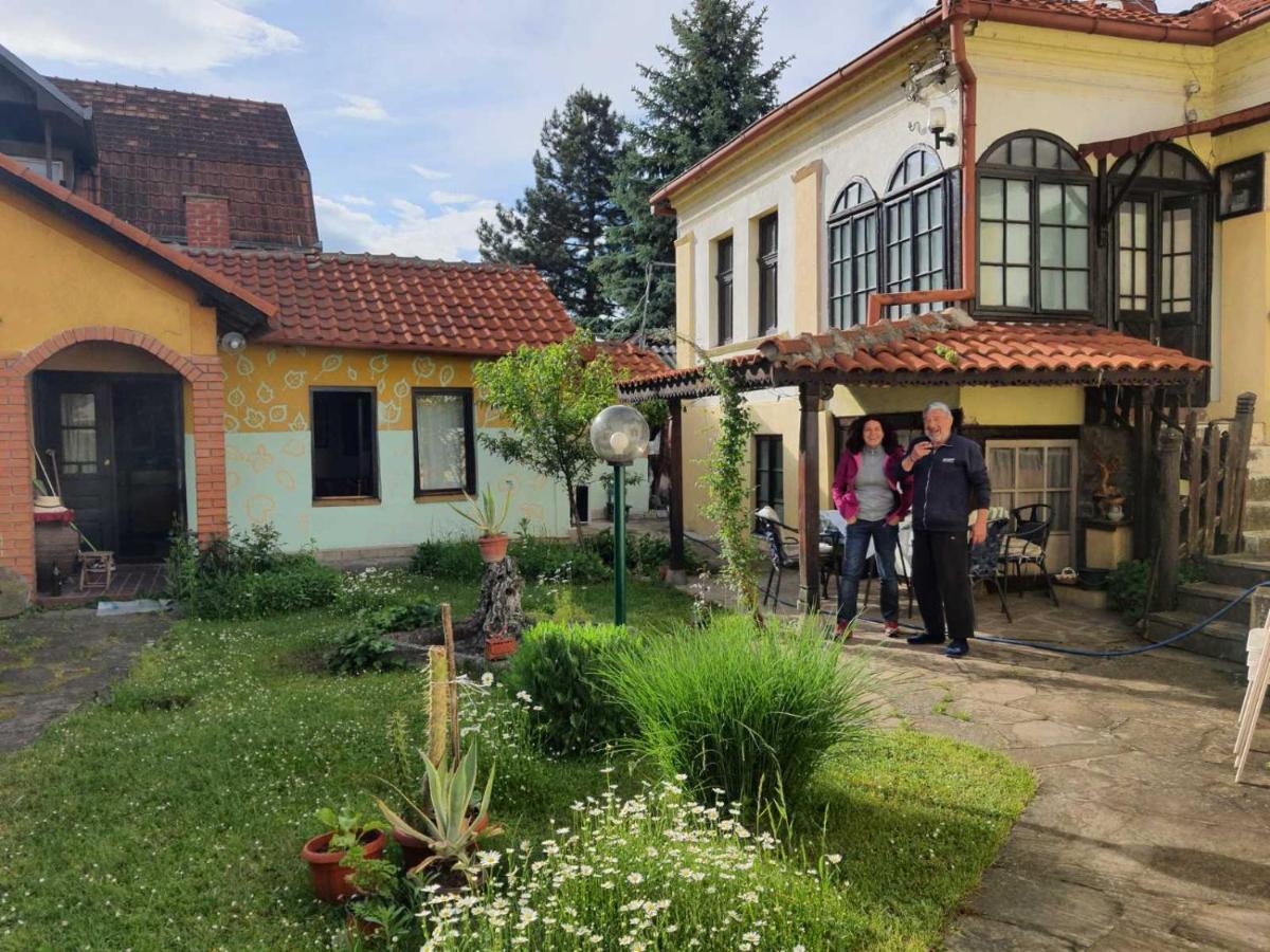 Garickina Kuca Apartman Pirot Kültér fotó