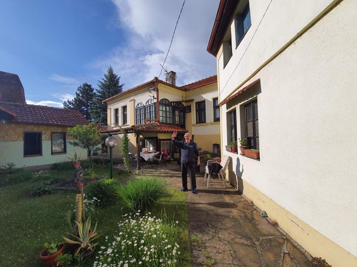 Garickina Kuca Apartman Pirot Kültér fotó