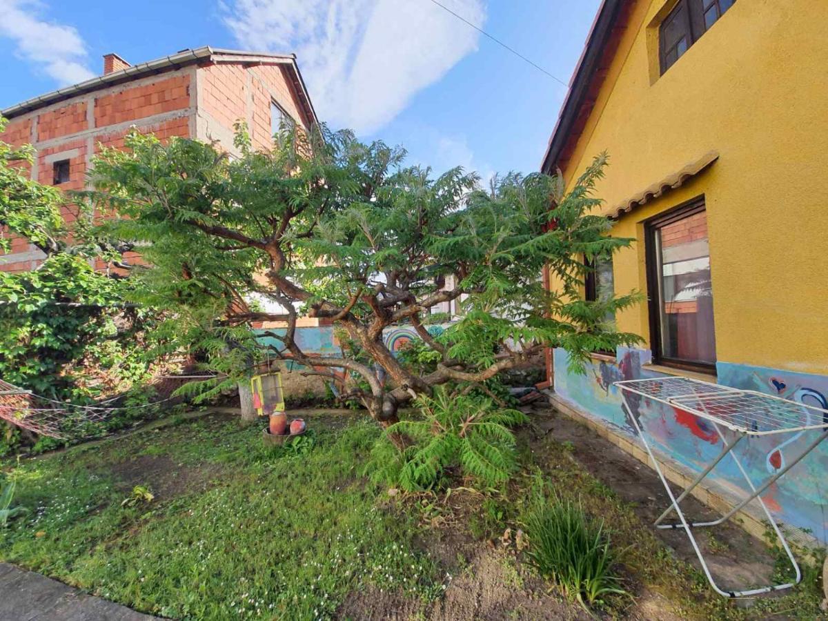 Garickina Kuca Apartman Pirot Kültér fotó