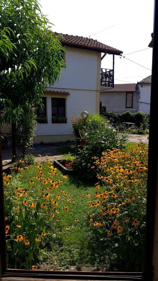 Garickina Kuca Apartman Pirot Kültér fotó