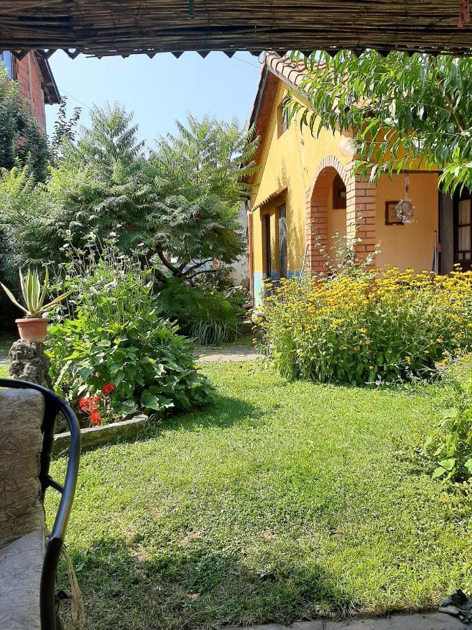 Garickina Kuca Apartman Pirot Kültér fotó