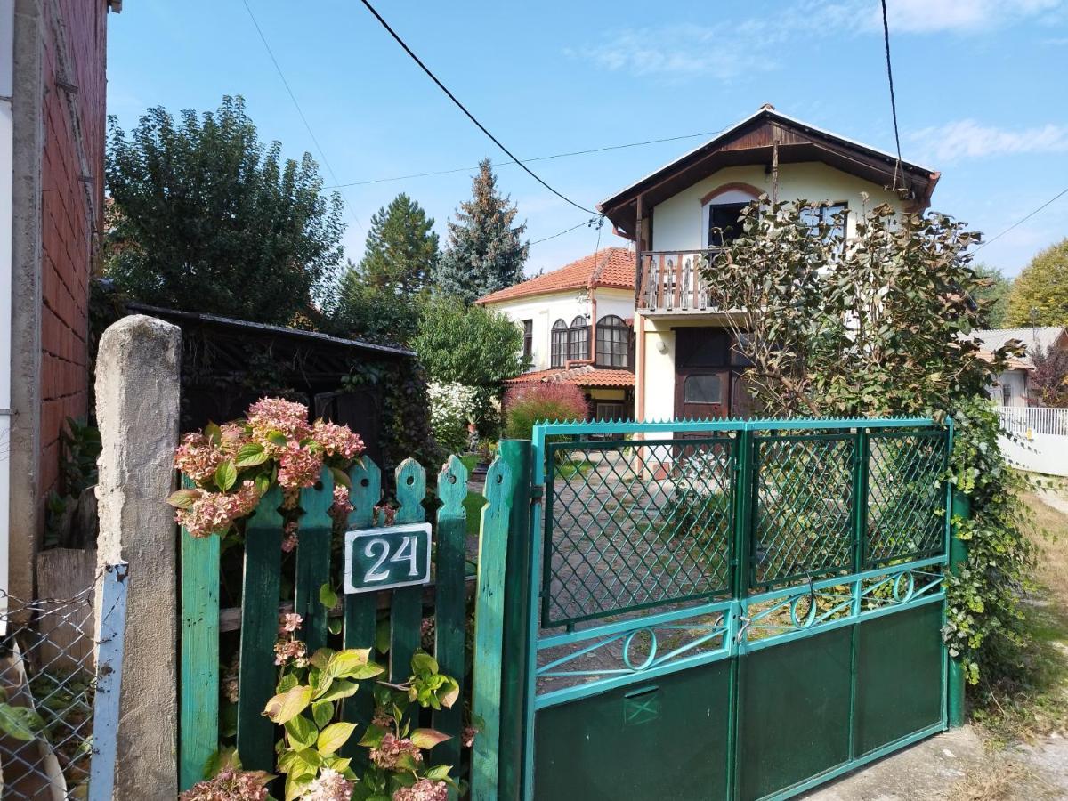 Garickina Kuca Apartman Pirot Kültér fotó