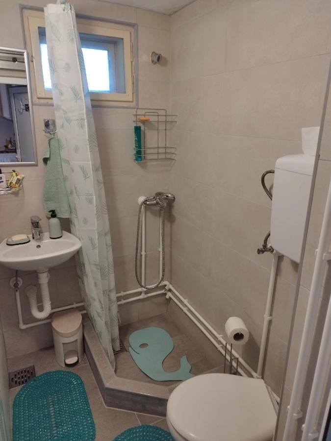 Garickina Kuca Apartman Pirot Kültér fotó
